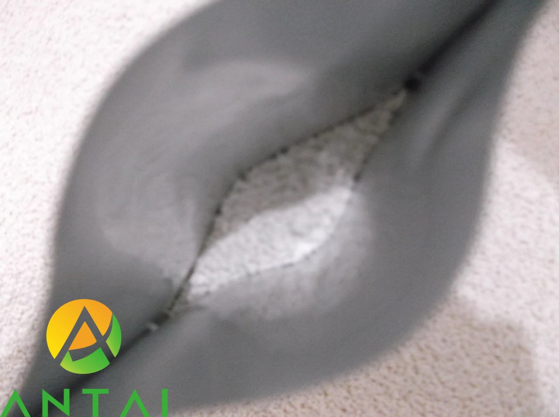 Amitabin salt 1