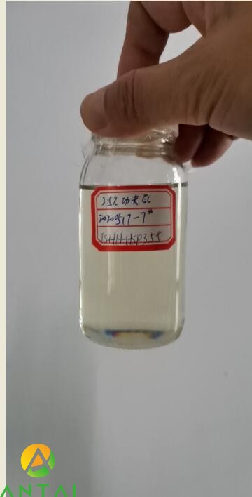 Xingnong Kung Fu Milk Oil 1